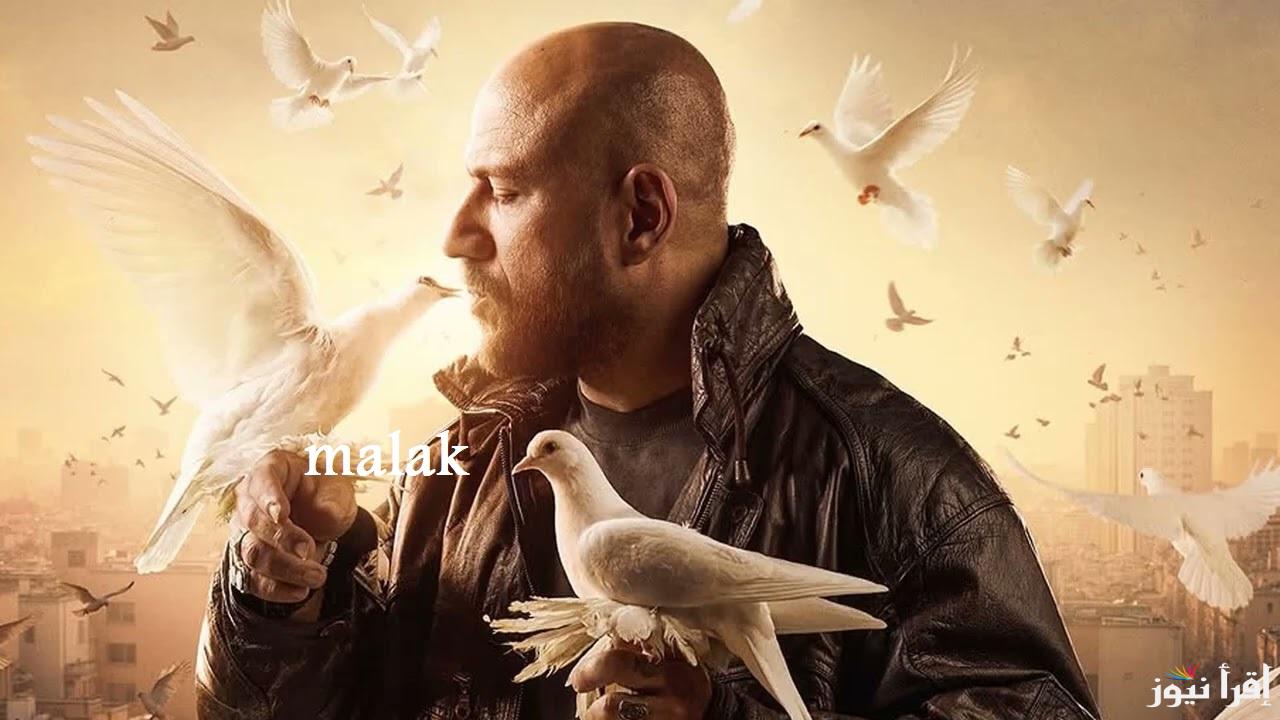 مسلسل الغاوي الحلقة 3 رمضان 2025 مواعيد العرض والقنوات الناقلة