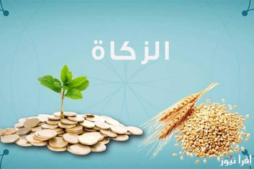 “مالاً او عيناً”.. مقدار زكاة الفطر 2025 في أمريكا وافضل ميعاد لإخراجها والفئات المستحقة لها