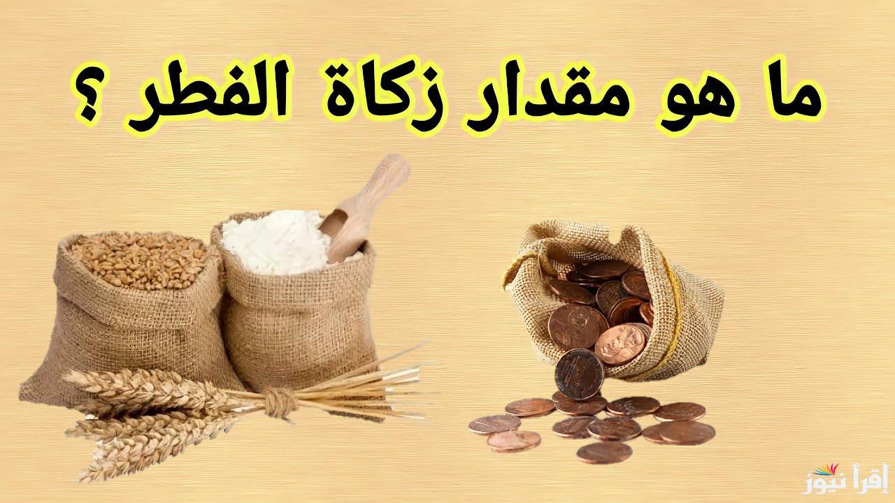 كم مقدار زكاة الفطر 2025 في مصر والسعودية والدول العربية وكيفيه إخراجها