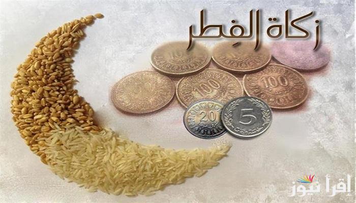 متنساش الـ8 جهات.. مقدار زكاة الفطر للشخص الواحد في رمضان 2025 في مصر حسب ما أعلنت دار الإفتاء وشيخ الأزهر