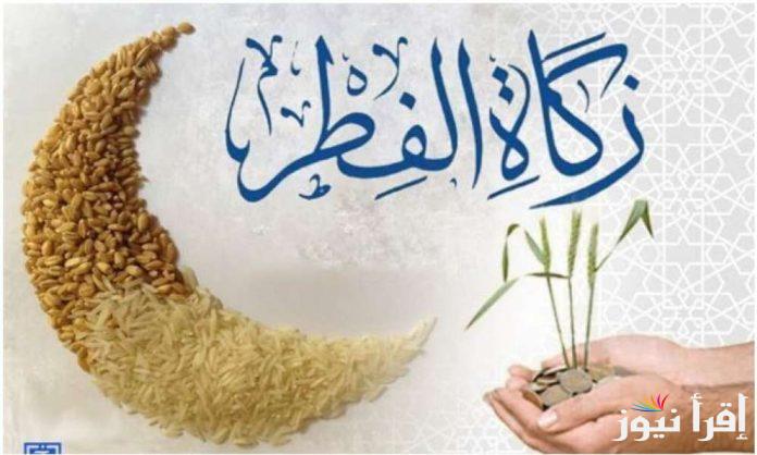 تعرف على.. مقدار زكاة الفطر دار الافتاء المصرية وأخر موعد لإخراجها