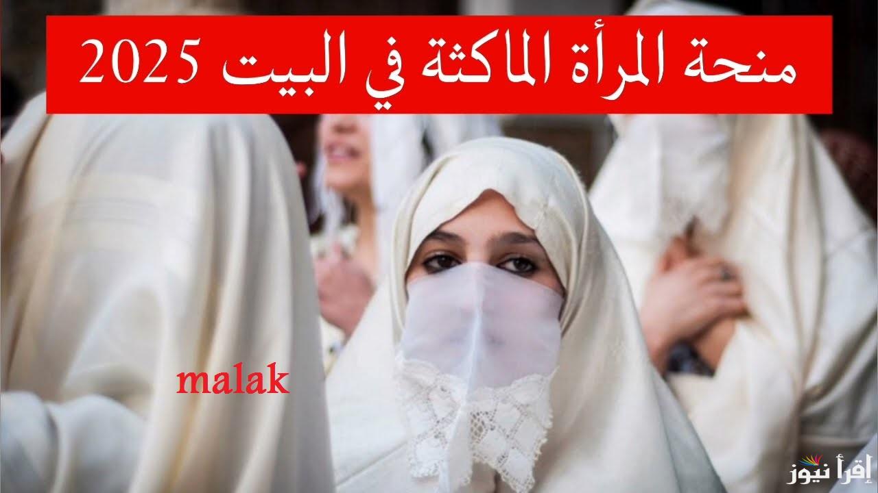 “الرابط والخطوات” منحة المرأة الماكثة في البيت 2025 الجزائر عبر موقع الوكالة الوطنية للتشغيل