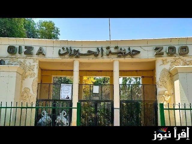 “تجديدات مفأجاة للزوار” موعد افتتاح حديقة الحيوان والأورمان بالجيزة 2025 وفقا لشركة الحدائق في مصر