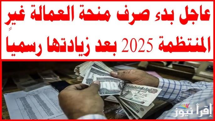 بعد زيادتها 1500 جنية.. صرف العمالة الغير منتظمة 2025 وطريقة التسجيل من الموقع الرسمي www.manpower.gov.eg