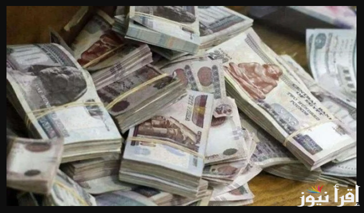 تعرف علي.. موعد صرف معاشات شهر أبريل 2025 وكيفية الاستعلام عنها عبر www.nosi.gov.eg وأماكن الصرف