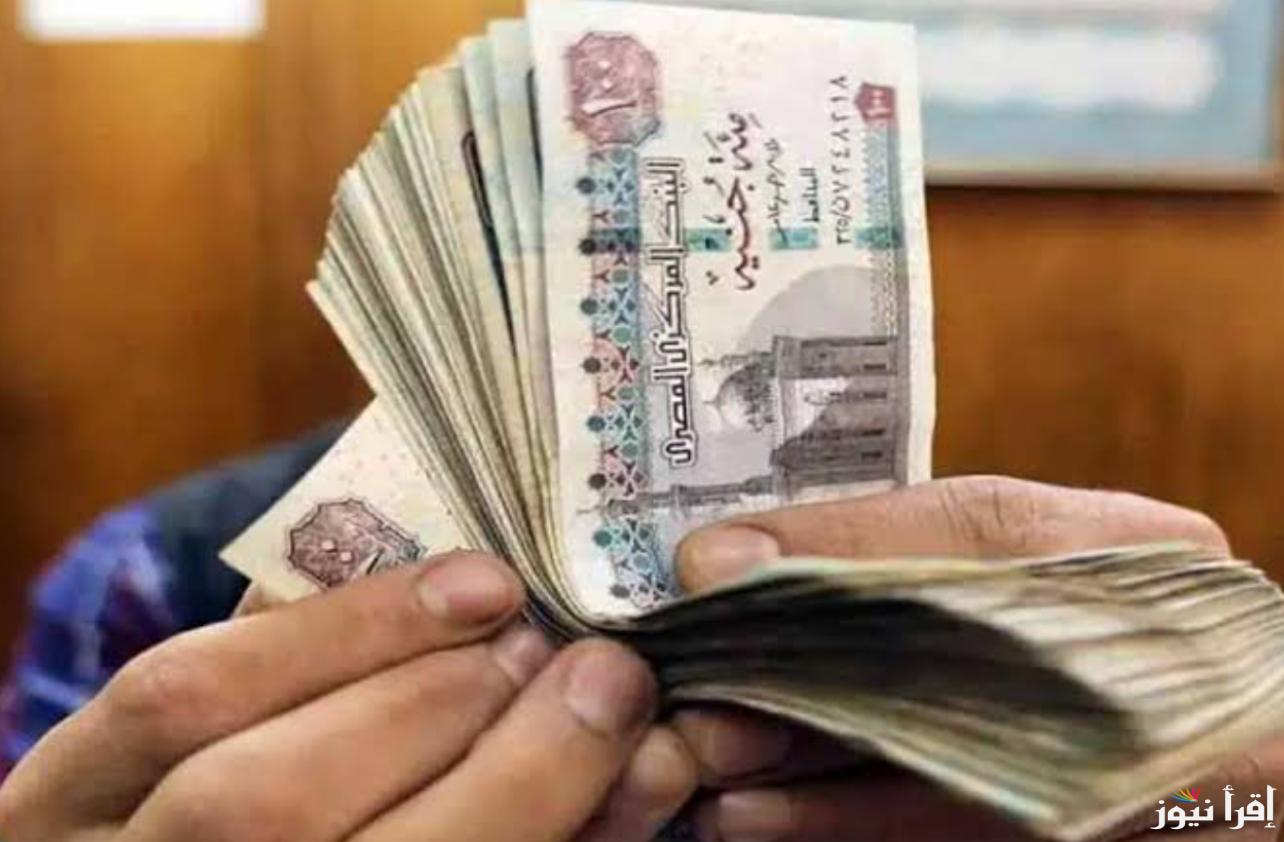 وزارة القوي العاملة الاستعلام علي منحه العماله الغير منتظمه لشهر رمضان 2025 عبر موقع وزارة العمل manpower.gov.eg