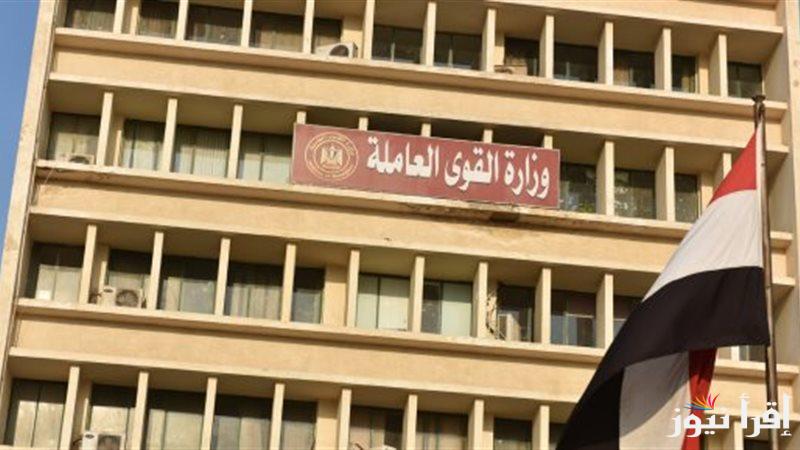 وزارة القوي العاملة تعلن الاستعلام عن منحة العمالة الغير منتظمة 2025 من خلال الرابط manpower.gov.eg