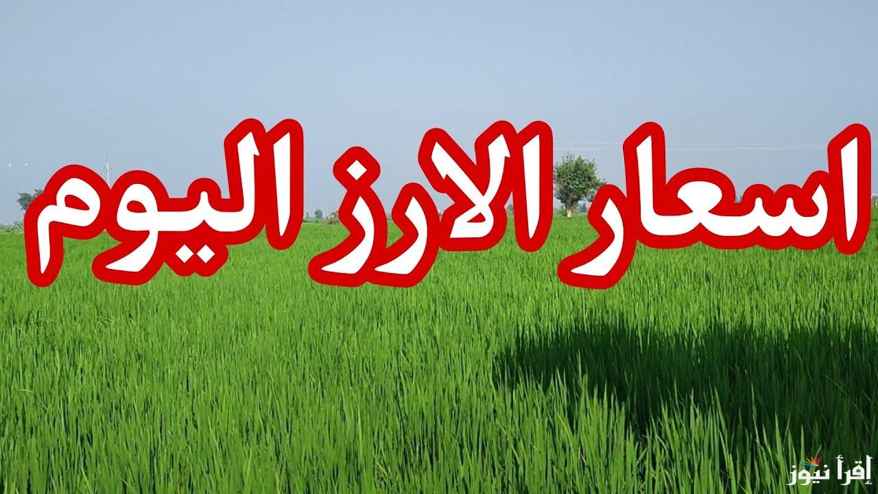 سعر طن الأرز الشعير اليوم الاثنين 14 أبريل 2025 في الأسواق المصرية