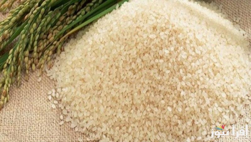 الأرز بيغلي؟ سعر طن الأرز الشعير اليوم السبت 19 أبريل 2025 في الأسواق