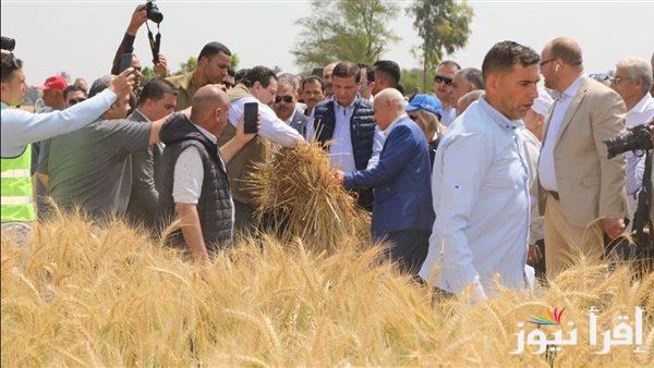 وزير الزراعة: نهدف لإنتاج 10 ملايين طن من القمح في 2025