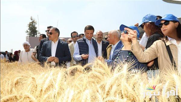 الحكومة تخفض تكاليف معدات حصاد القمح للفلاحين