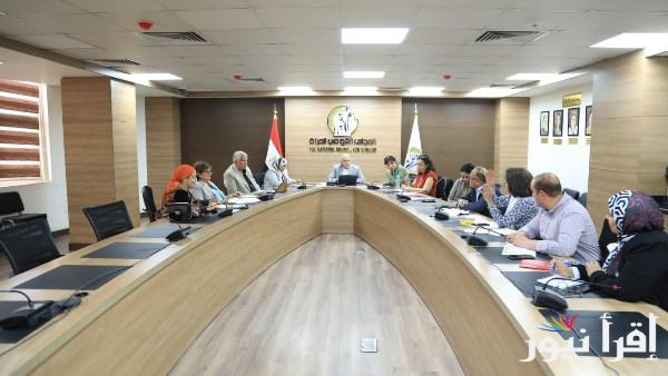 لجنة المنظمات الأهلية في المجلس القومي للمرأة تناقش خطة الأنشطة والأولويات