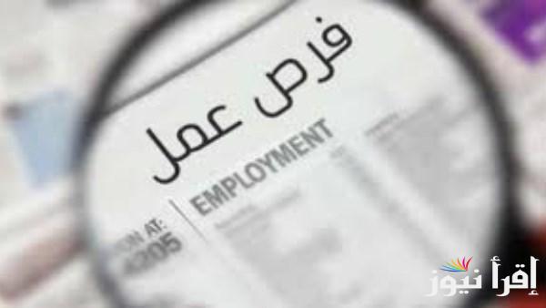 وظائف شاغرة في جامعة العلمين الدولية لثلاثة تخصصات