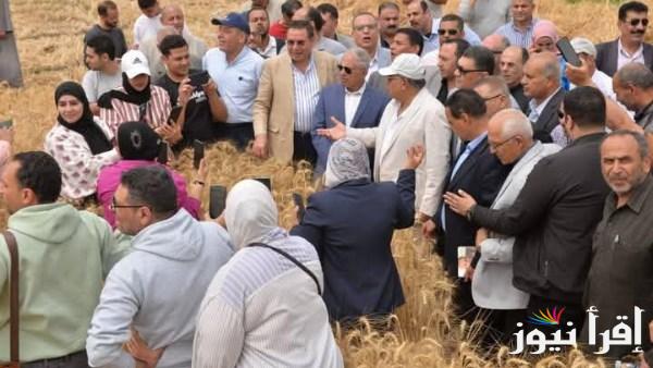 بدء حصاد القمح في محافظة الدقهلية لموسم 2025
تفاصيل