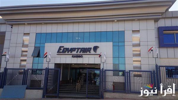 مصر للطيران تصدر بياناً بشأن تصادم أتوبيس ركاب بعمود إنارة في مطار القاهرة