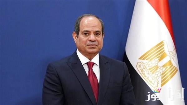 الرئيس السيسي: الحفاظ على اللغة العربية واجب والدعاة هم حماة الحرية