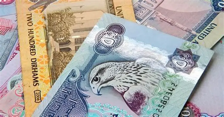أسعار الدرهم الإماراتي اليوم في جميع البنوك المصرية 21 أبريل 2025