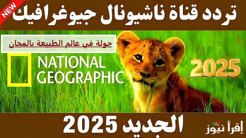 جولة في عالم الطبيعة بالمجان.. استقبل تردد قناة ناشيونال جيوغرافيك 2025 علي النايل سات لأحلى مغامرات الحيوانات
