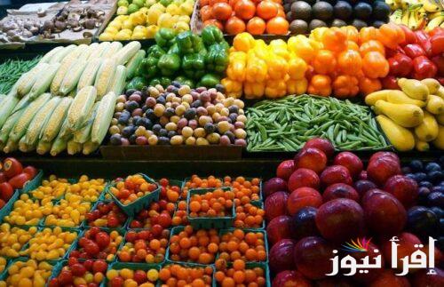 كيلو البطاطس بكام؟ أسعار الخضروات في سوق العبور اليوم السبت 5 ابريل 2025 في مصر