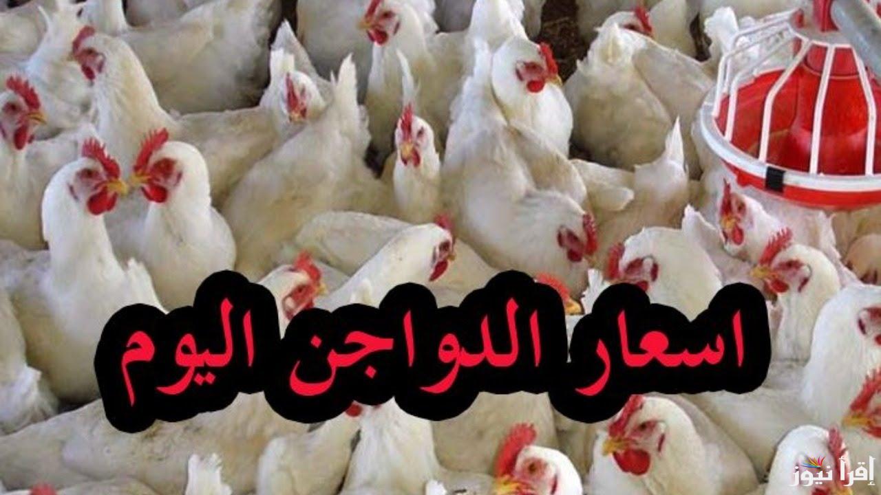 سعر زمان.. أسعار الدواجن اليوم الخميس 24 أبريل 2025 في بورصة الدواجن المصرية