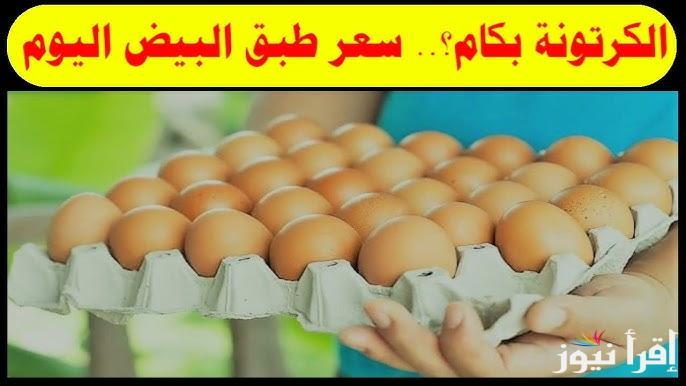 الكل هيشتري .. سعر كرتونة البيض الأبيض والاحمر اليوم الاحد 27 ابريل 2025 في بورصة الدواجن وللمستهلكين