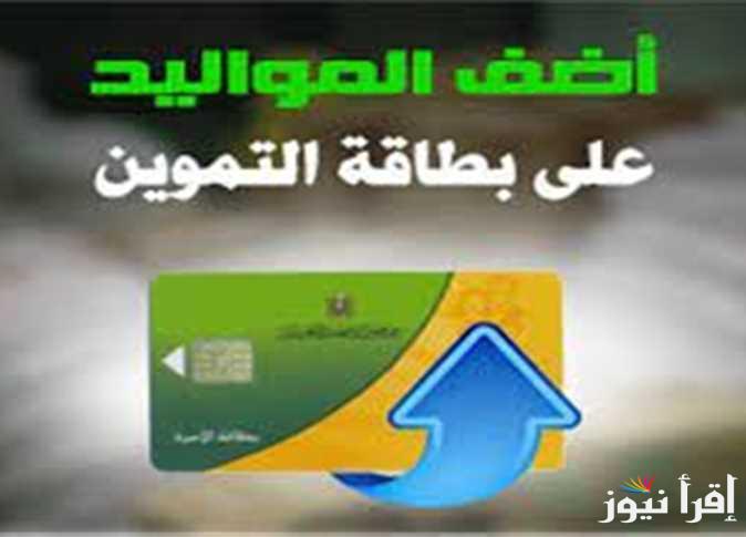 سجل ابنك دلوقتي …. إضافة المواليد في بطاقة التموين 2025 والشروط المطلوبة