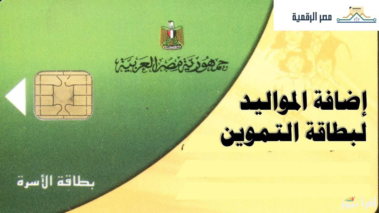 مستني اي؟؟ فرصة زود دعمك.. إضافة مواليد وزارة التموين عبر بوابة مصر الرقمية 2025 digital.gov.eg والفئات المستحقة للدعم