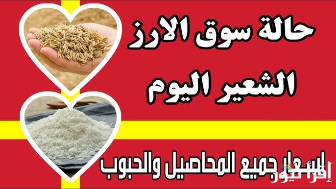 “هيفضل في العالي” اسعار الأرز الشعير اليوم الثلاثاء 22 ابريل 2025 في مصر والسلع الأساسية في الأسواق