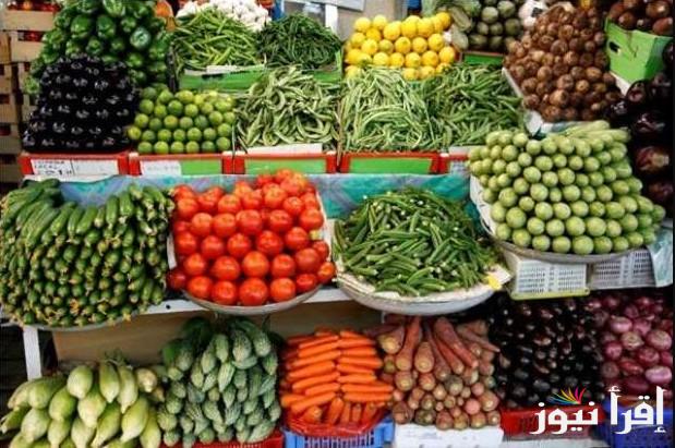 أشتري وأقتصد .. أسعار الخضروات في سوق العبور اليوم الأربعاء 30 ابريل 2025 طبقا لبوابة الأسعار المحلية