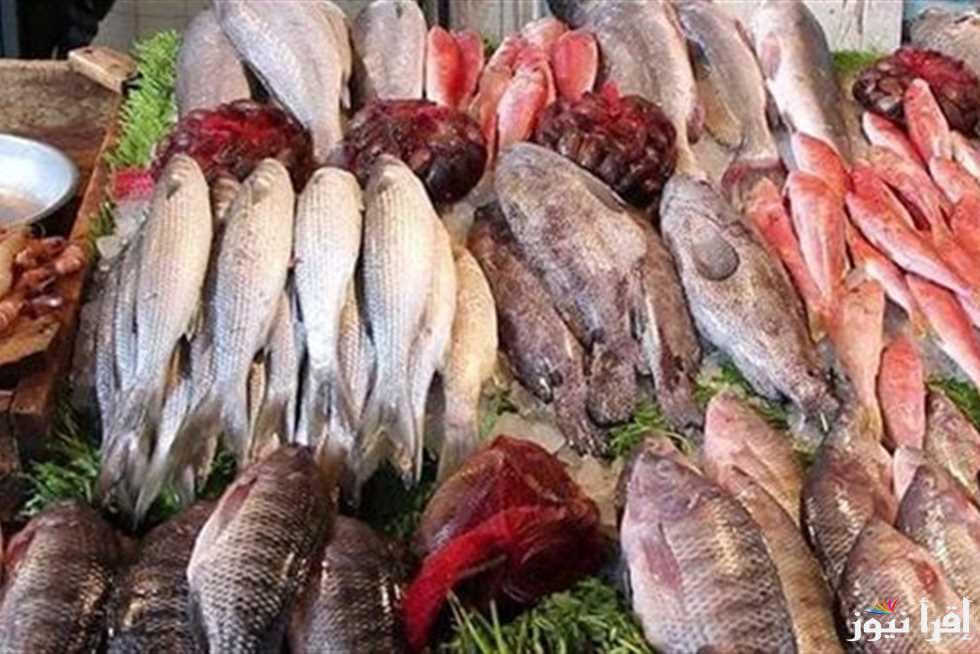 لو مبتحبش الفسيخ اشتري سمك.. اسعار السمك اليوم الاثنين 21 ابريل 2025 في الأسواق المصرية