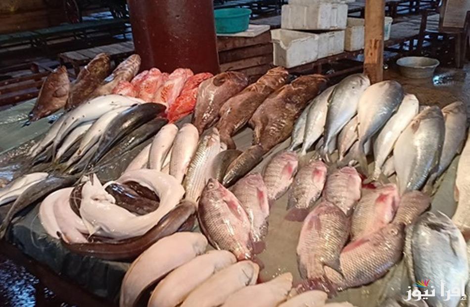البلطي والجمبري بكام النهاردة؟؟ أسعار السمك اليوم الثلاثاء 8 ابريل 2025 في الأسواق المصرية