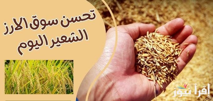 المستهلك حيران .. ارتفاع أسعار الأرز اليوم الأربعاء 23 ابريل 2025 وخطط الحكومات المصرية لحل الازمة الاقتصادية