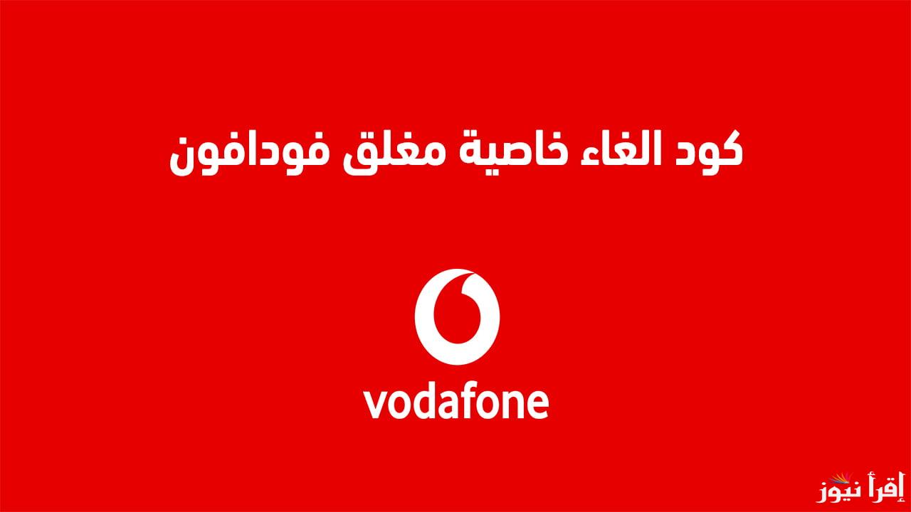 ريح بالكـــ مع Vodafone .. الغاء خاصية مغلق فودافون 2025 وكيفية تفعيلها بخطوات سهلة وبسيطة