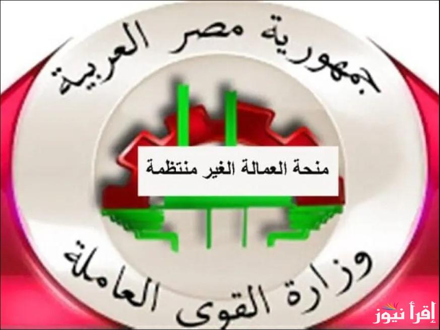 الآن قبـل عيـد العمـال .. تسجيل في منحة العمالة الغير منتظمة 2025 عبر الموقع الرسمي وأهم الخطوات الازمة للتسجيل