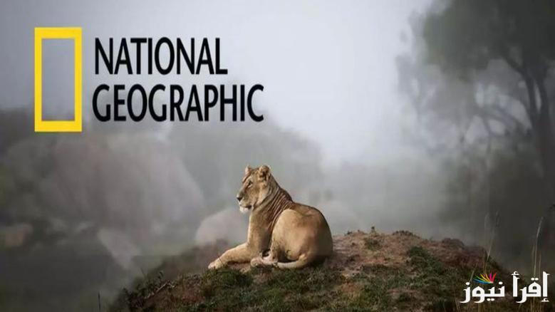 نزل الآن.. تردد قناة ناشيونال جيوغرافيك نايل سات 2025 National Geographic بجودة FHD واستمتع بالحياة البرية من بيتك