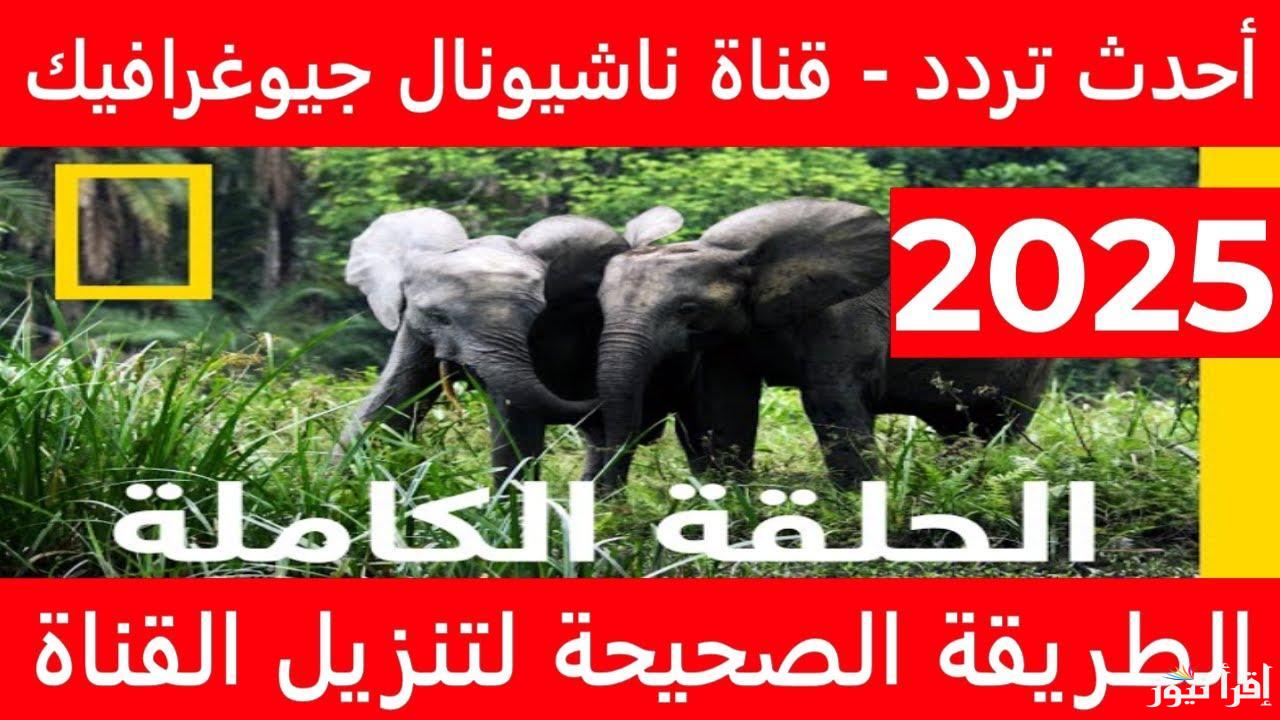 National Geographic تردد ناشيونال جيوغرافيك على نايل سات الجديد 2025 وخطوات تنزيل القناة