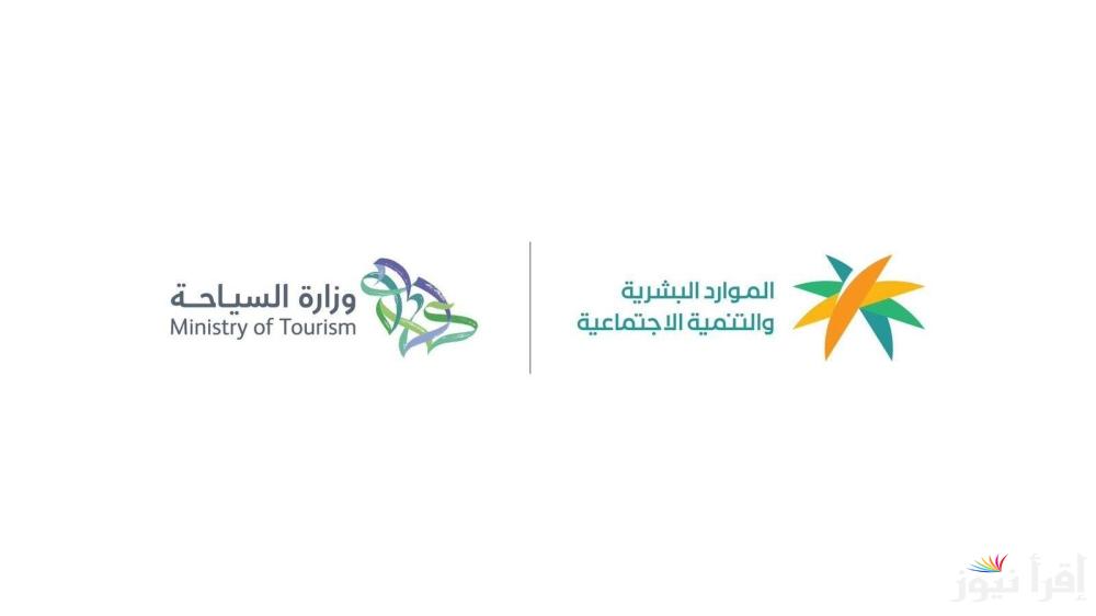 توطين 41 مهنة في القطاع السياحي .. تفاصيل القرار ومراحل التنفيذ حتى 2028