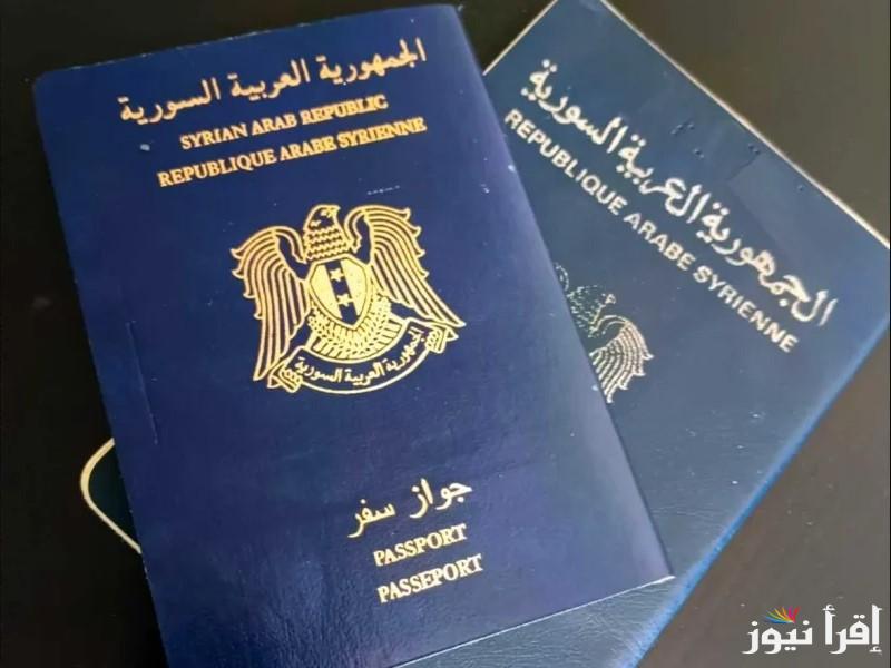 كيفية استخراج جواز السفر السوري 2025 الكترونيا عبر موقع syria-visa.sy بالخـطوات وأهم الوثائق المطلوبة للتقديم