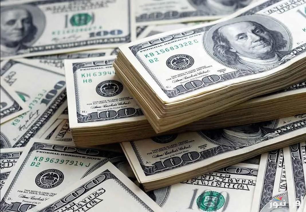 في لحظات .. رابط حجز 4000 دولار من مصرف ليبيا المركزي 2025 وأهم الشروط الواجب توفرها