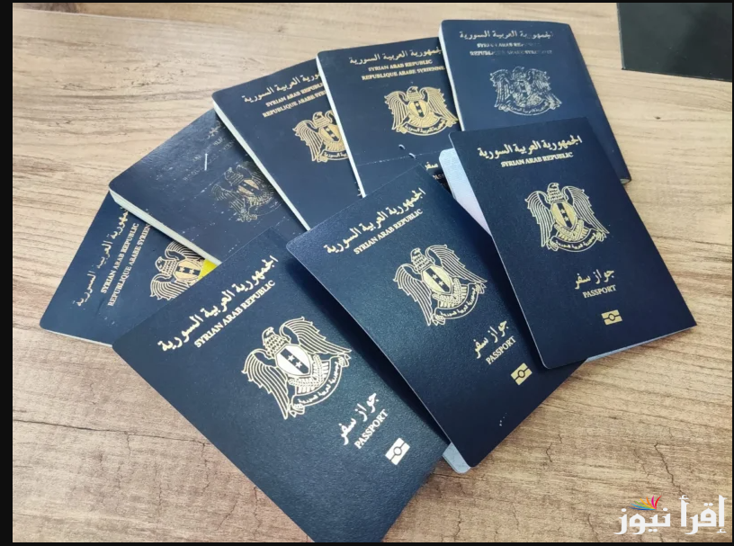 وزارة الخارجية تُوضح… خطوات استخراج جواز السفر السوري 2025 من الجوازات السورية والمستندات المطلوبة