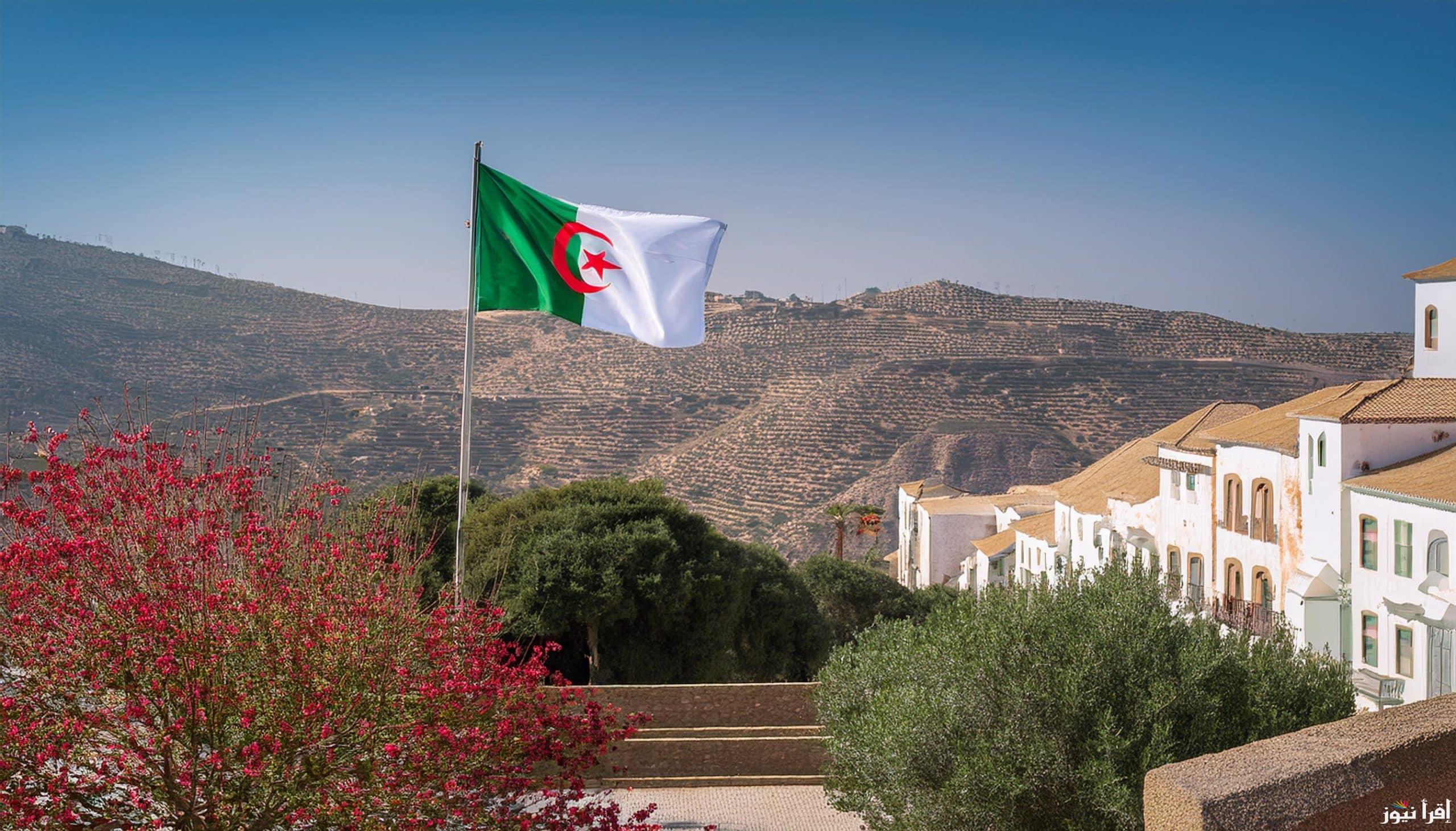 “بكل سهوله” خطوات تجديد منحة البطالة في الجزائر 2025 عبر موقع الوكالة الوطنية والشروط اللازمة للتجديد