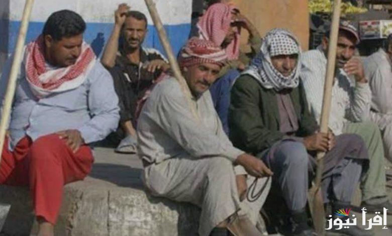 رابط manpower الاستعلام عن منحة العمالة غير المنتظمة 2025 وشروط الحصول علي المنحة
