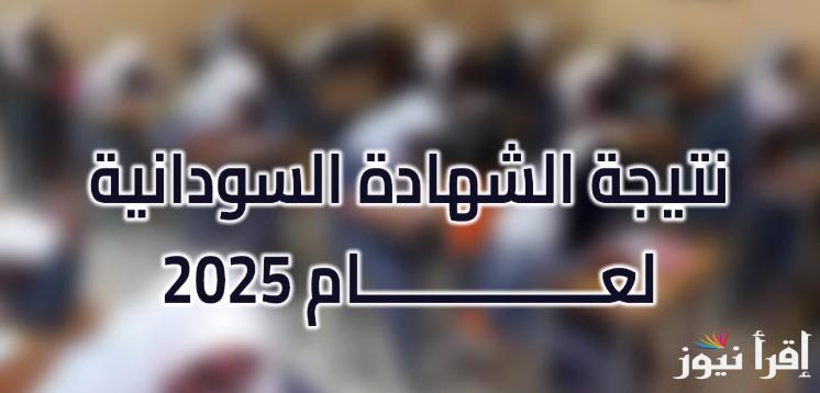 ابشروا نسبة النجاح تجاوزت 78%.. نتيجة الشهادة السودانية 2025 برقم الجلوس mohe.gov.sd