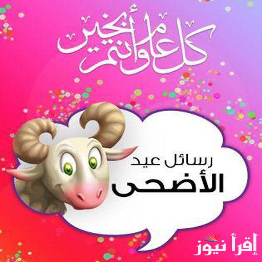 رسائل تهنئة عيد الأضحى 2025.. تقبل الله منكم صالح الأعمال وجزاكم خير الجزاء