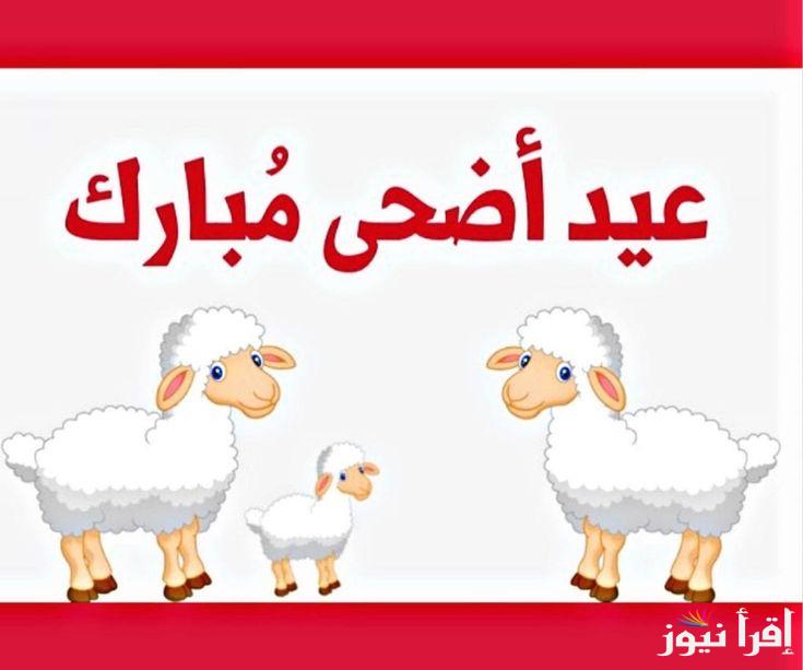 كل عام وانتم بخير.. رسائل تهنئة عيد الاضحي المبارك 2025 ابعتها لصحابك وفرحهم