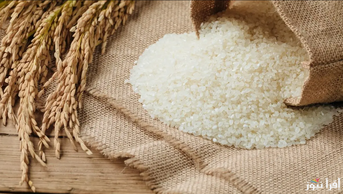 بالطن وبالكيلو.. سعر الأرز الشعير اليوم الخميس 10 ابريل 2025 في الأسواق