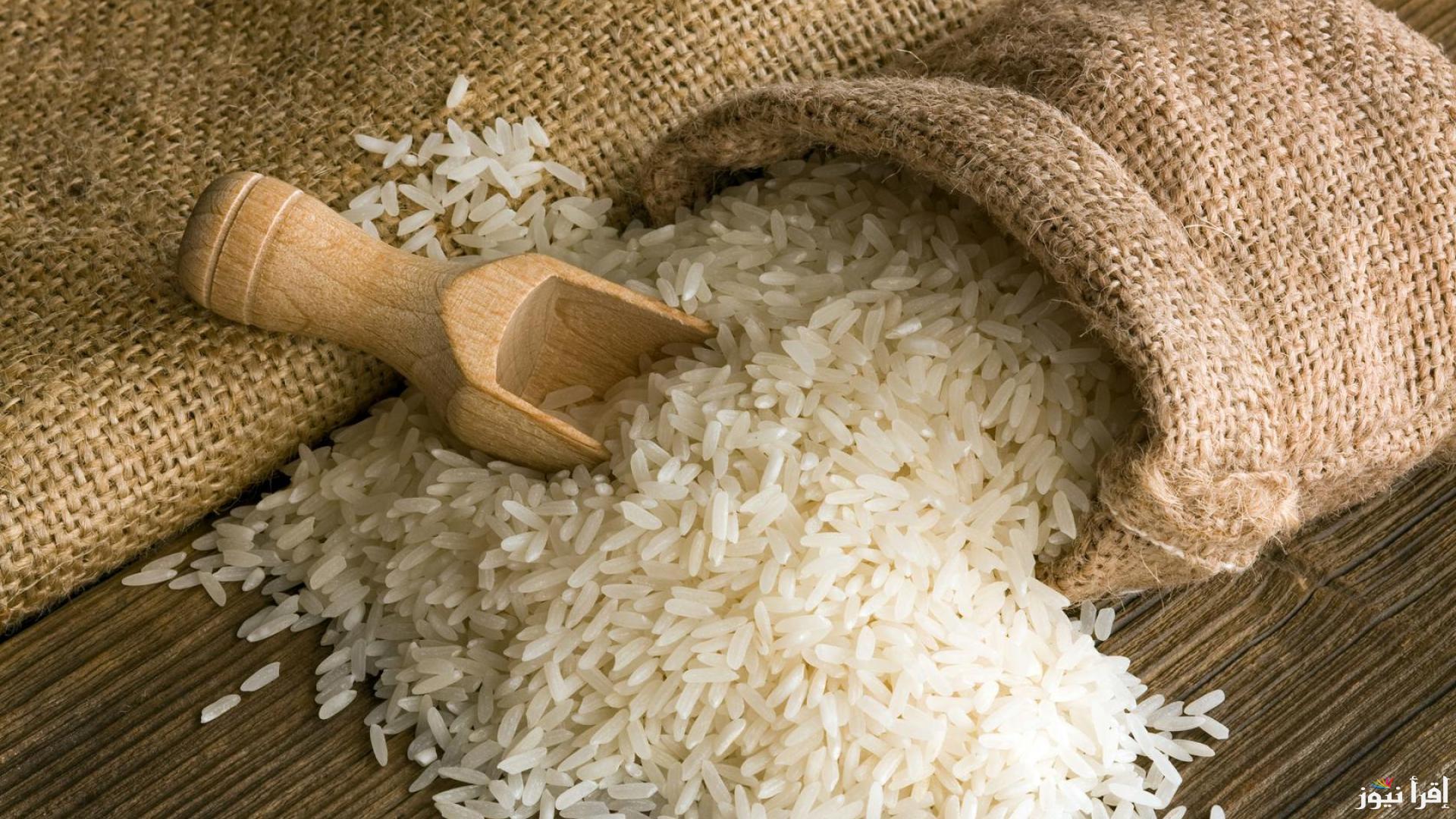بكم طن الشعير؟ سعر الأرز اليوم الثلاثاء 22 أبريل 2025 في كافة الأسواق المصرية