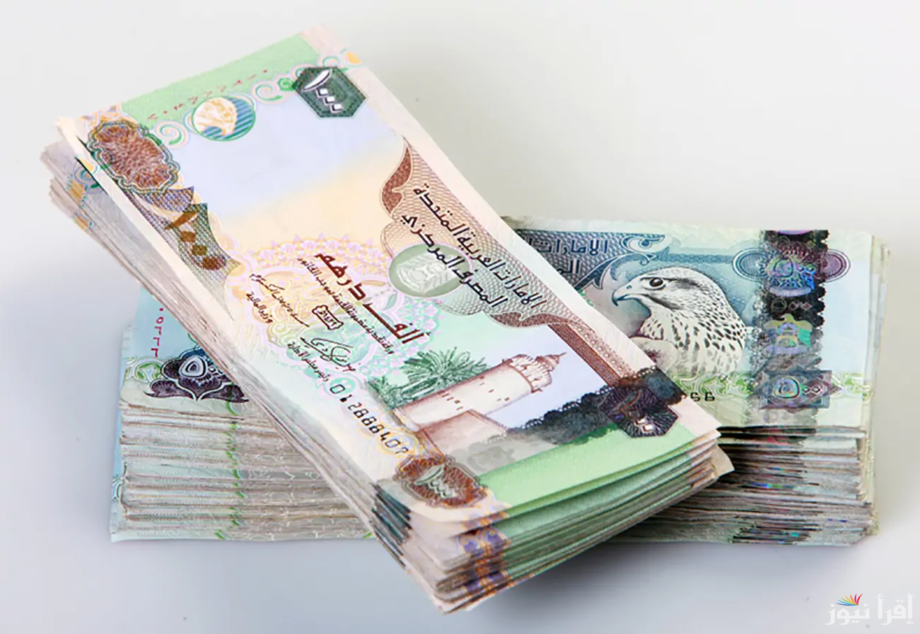 100 درهم بكام مصري؟.. سعر الدرهم الإماراتي مقابل الجنيه المصري اليوم الاثنين 7 ابريل 2025 في البنك المركزي