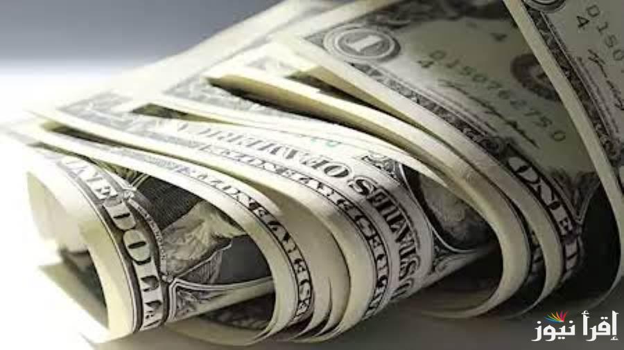 “محافظ علي هدوئه” سعر الدولار اليوم الثلاثاء 29 ابريل 2025 امام الجنية في السوق المصري