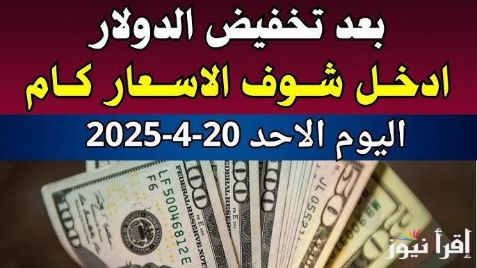 مقابل الجنيه المصري.. سعر الدولار اليوم الأحد 20 ابريل 2025 في البنك المركزي والسوق السوداء